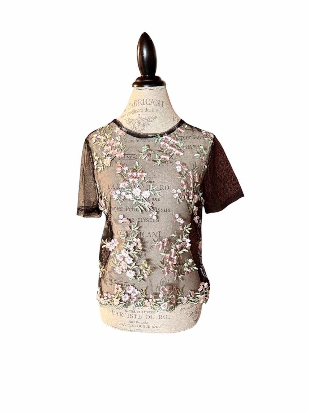 Sheer Black Floral Embroidered Short Sleeve Top